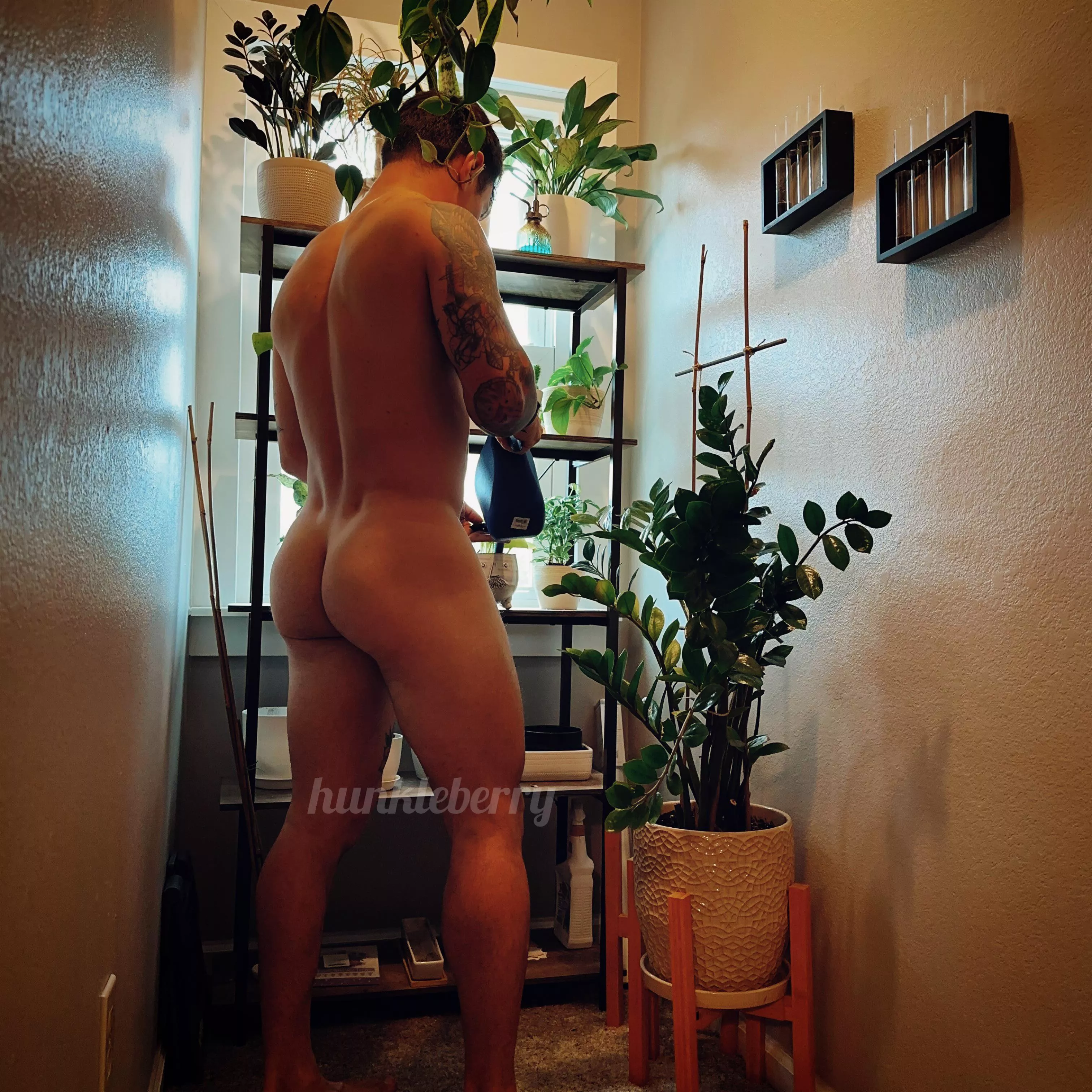 Plant Daddy 🌿
