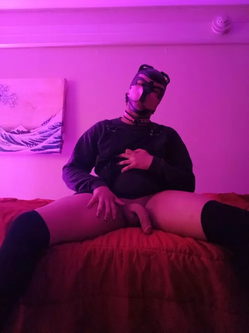 See something you like?