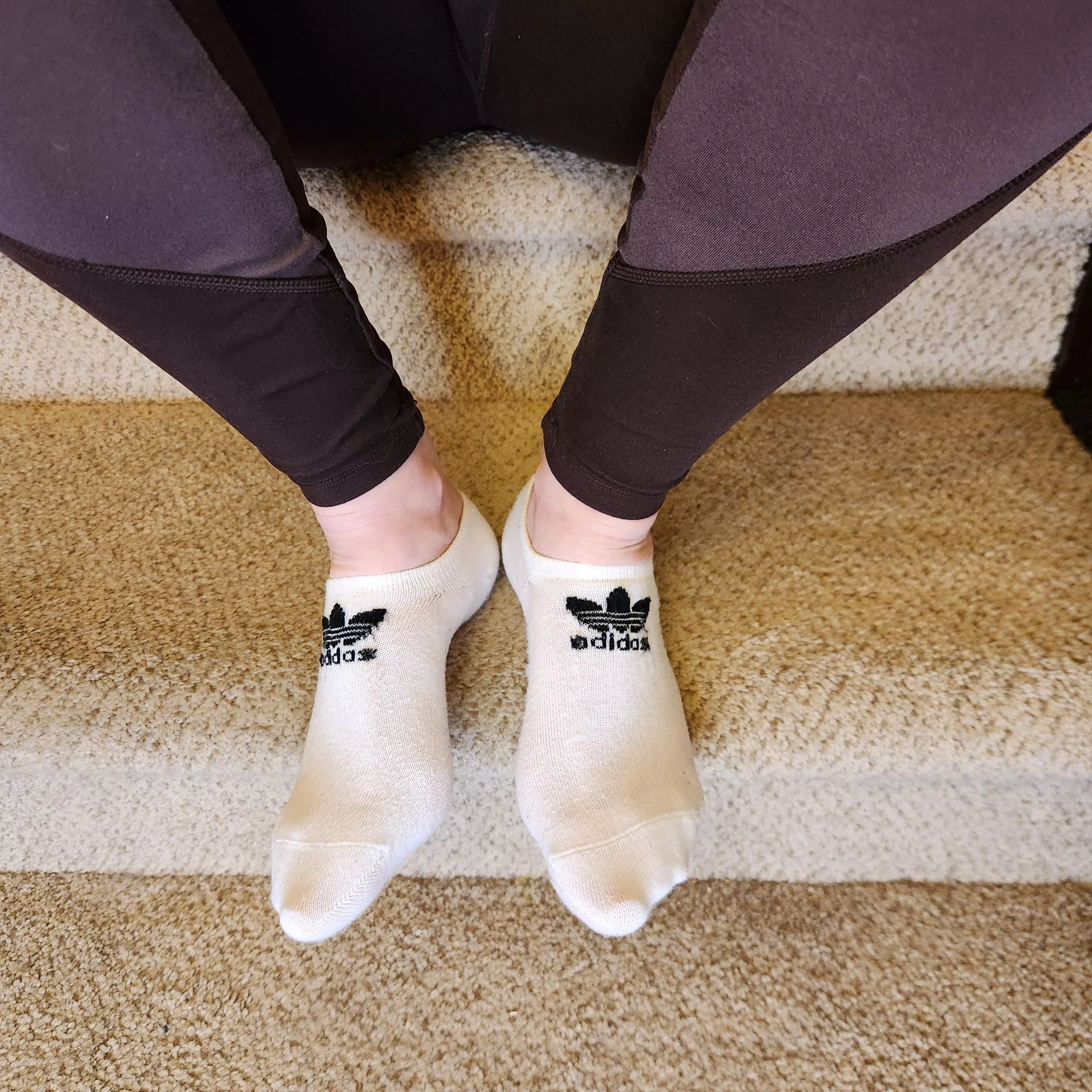 These are just perfect white no shows. Hope they stay that way 