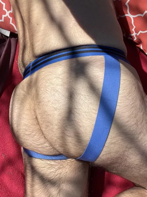 Time to get some sun on these furry cheeks