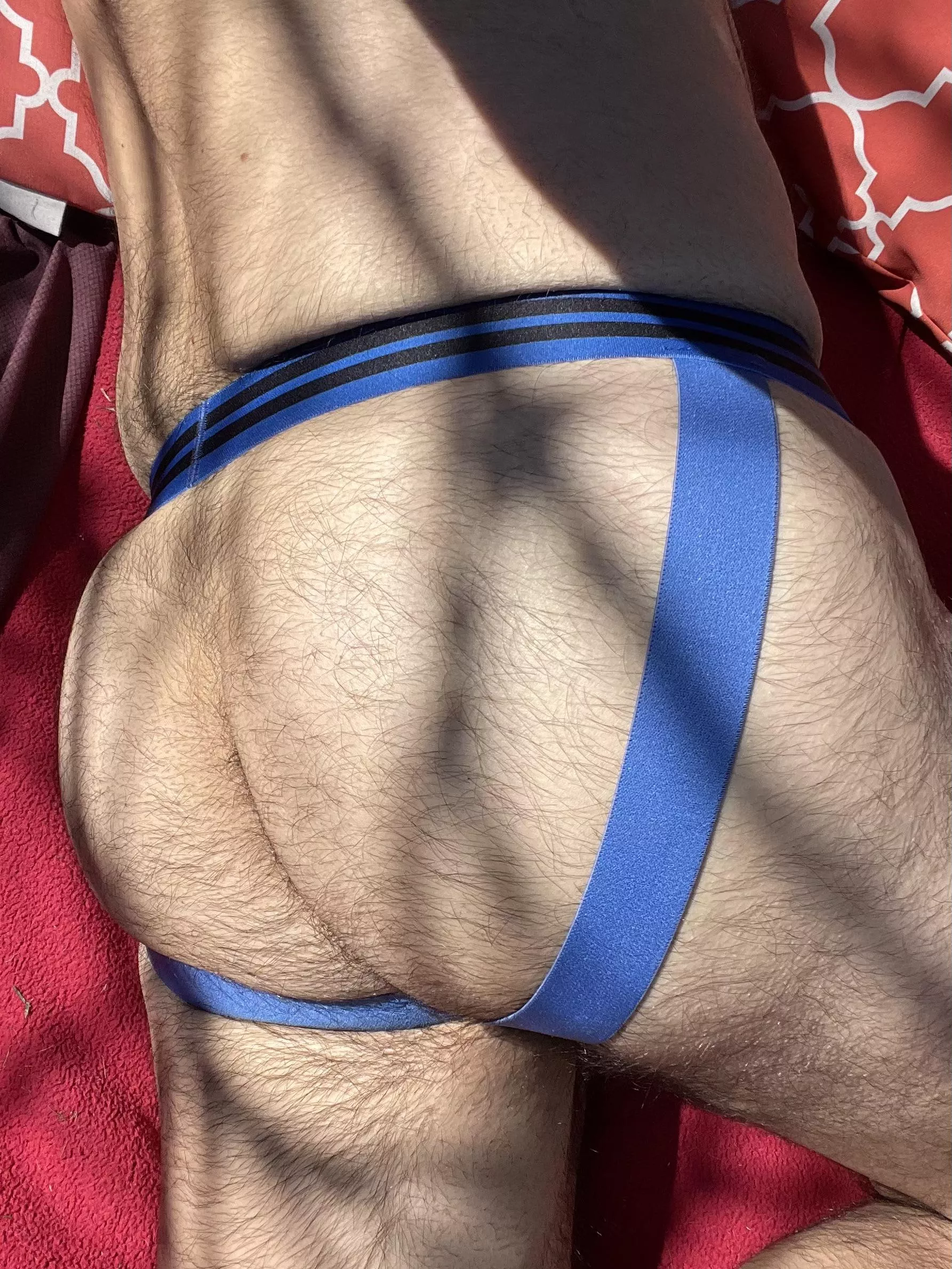 Time to get some sun on these furry cheeks