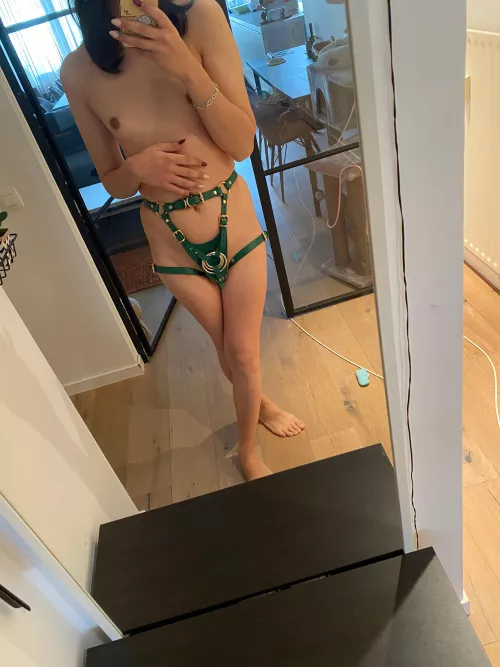 What do you think of my new outfit? 