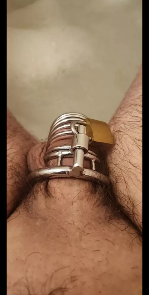 When should this 20 year old sissy take their cage off I just put it on