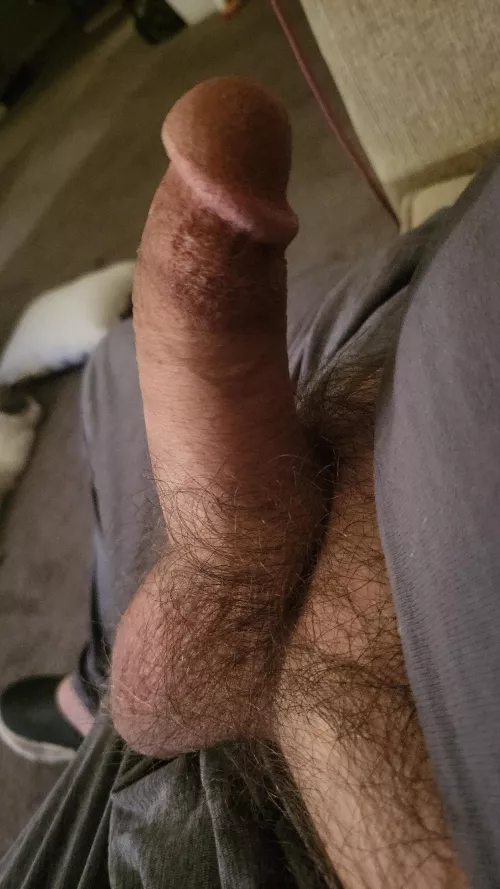 Wow else Is either hard or wet and horny (54)