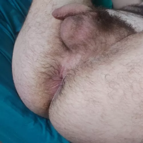 [27] love to show off my hairy hole