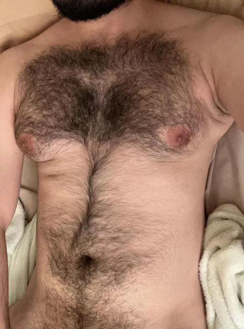 28 I’m so horny , come play with me , snap: gayhairyvers