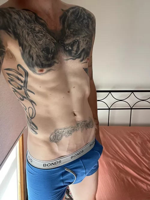 [28] The lion, the wolf or the bulge. What do you choose?