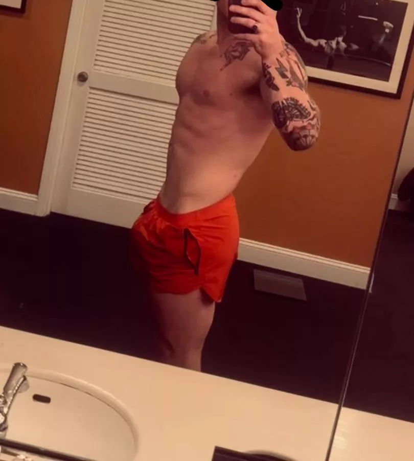 28m Experienced bull for hotwife or mfm. 