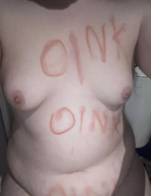 anyone want a fat pet pig