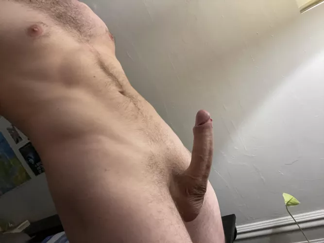 Aussies unite. Rate me ;)