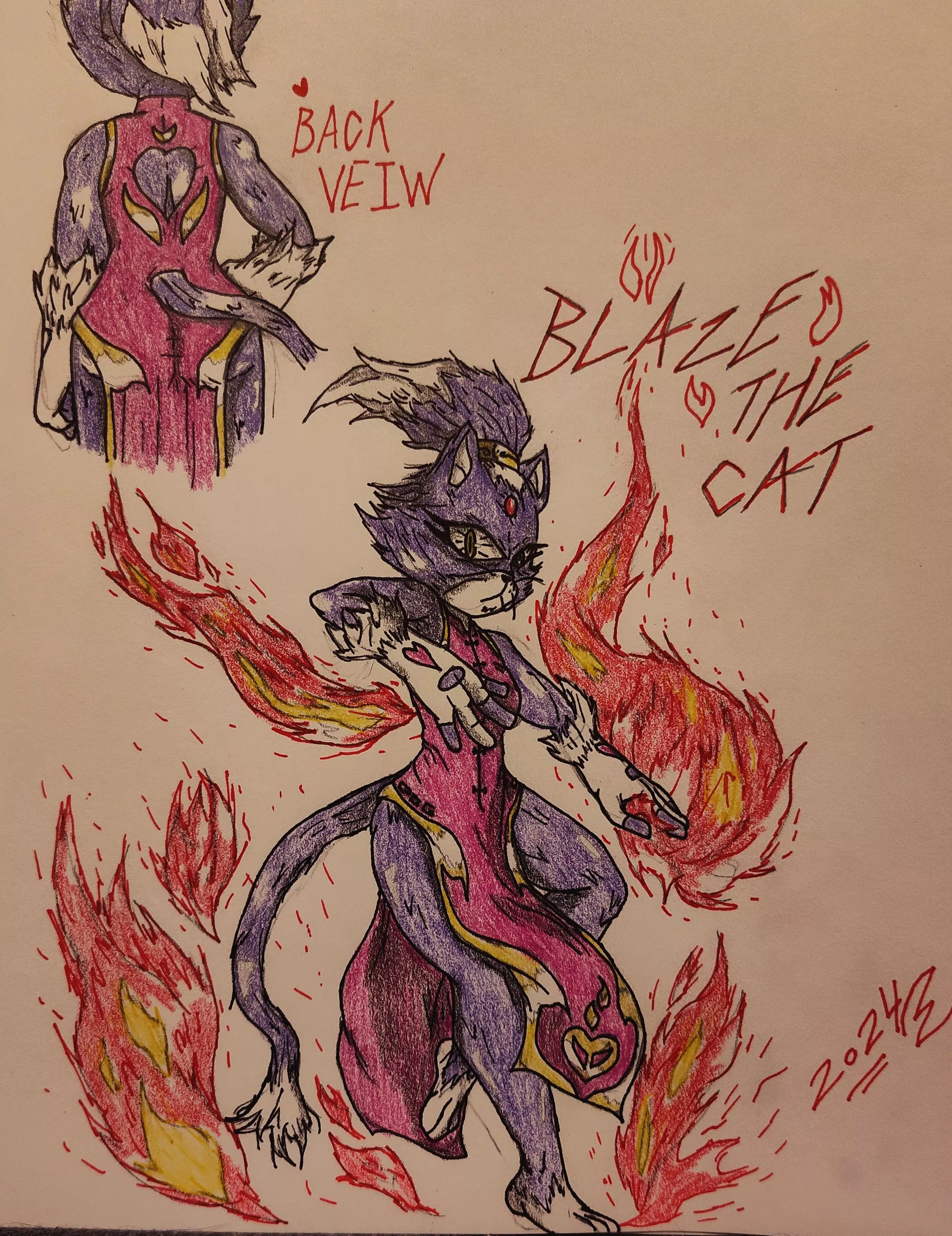 Blaze The Fire Dancer (I Made This)