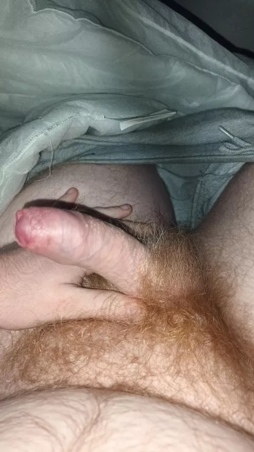 Ginger pubes 