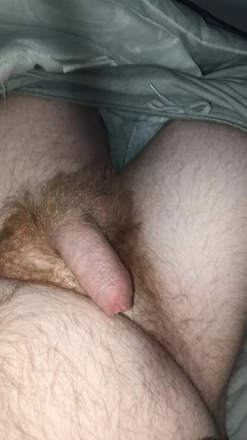 Ginger pubes 😈