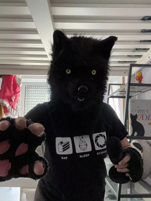 he decides to block your path!