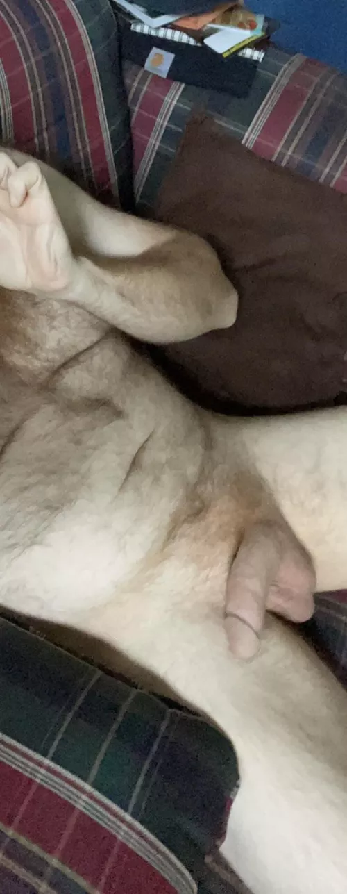 How does my hairy ginger dad bod look? 