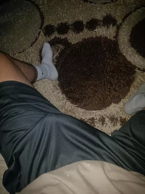 Huh ? I just woke up why are you stairing at me roommate ?