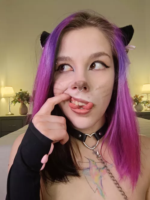 I can meow all night