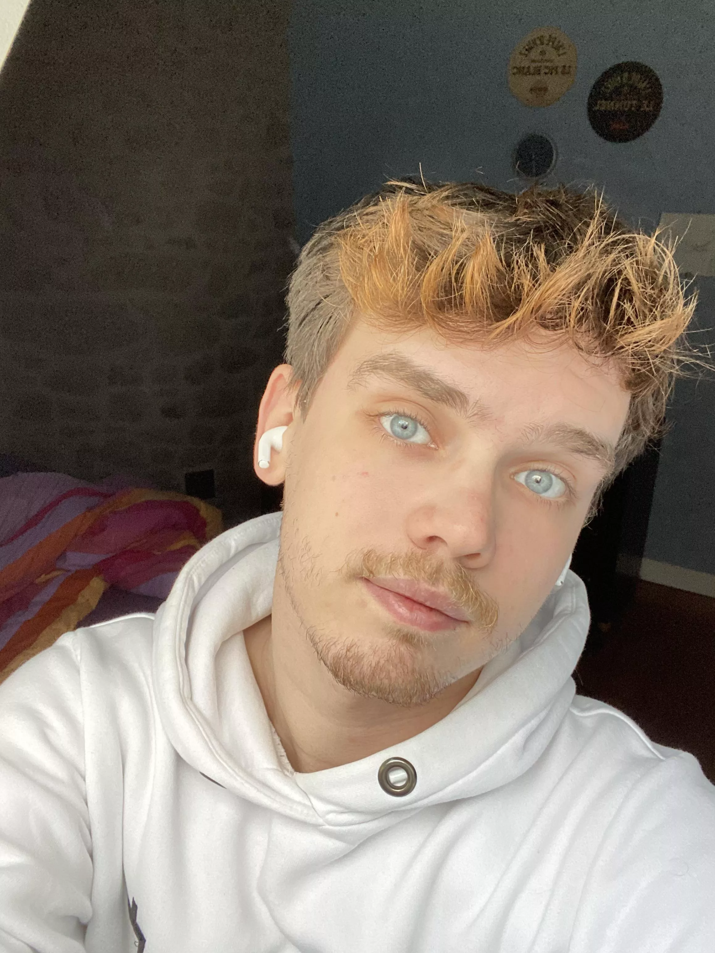 In need of someone to cuddle with under the blanket. Come say hi