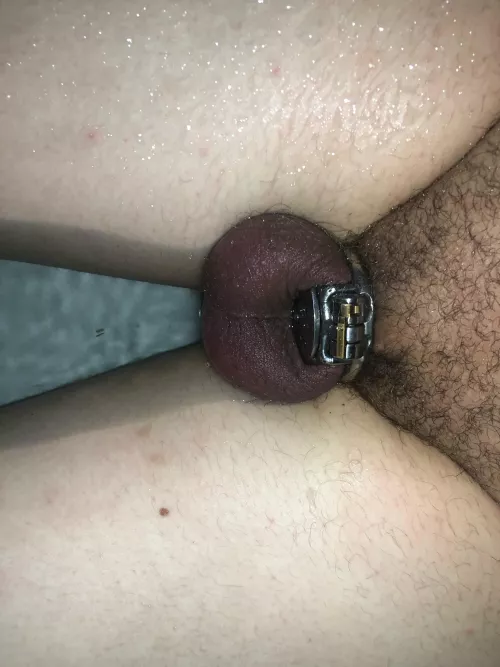 Is this color dangerous 