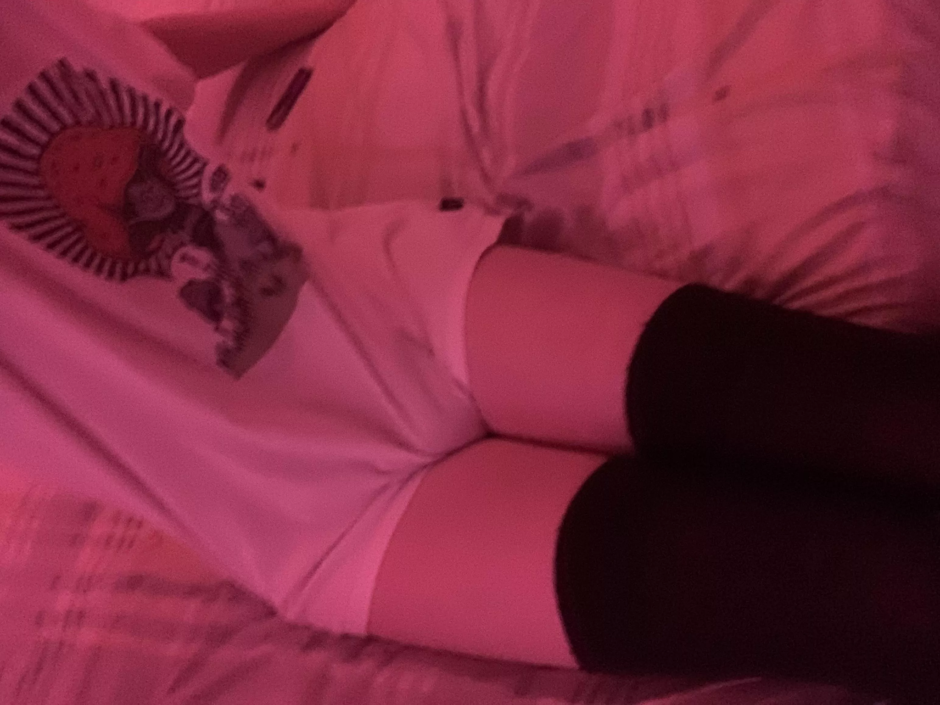 just a silly lil guy :3