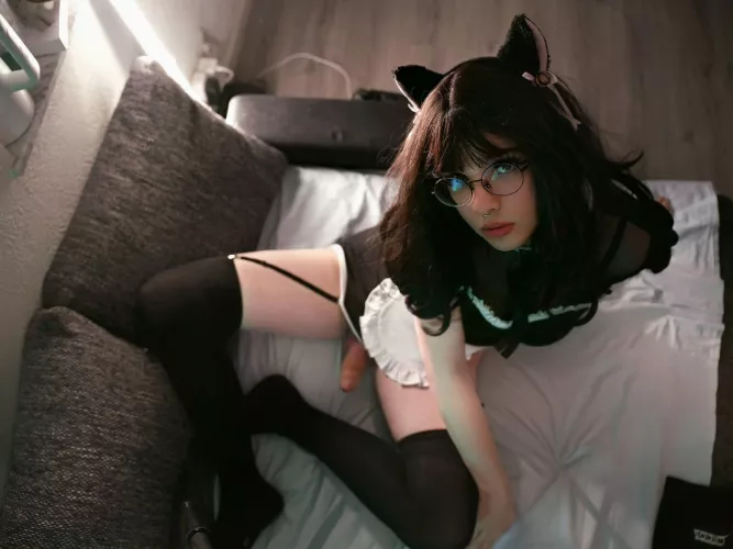 let me meow for u :3