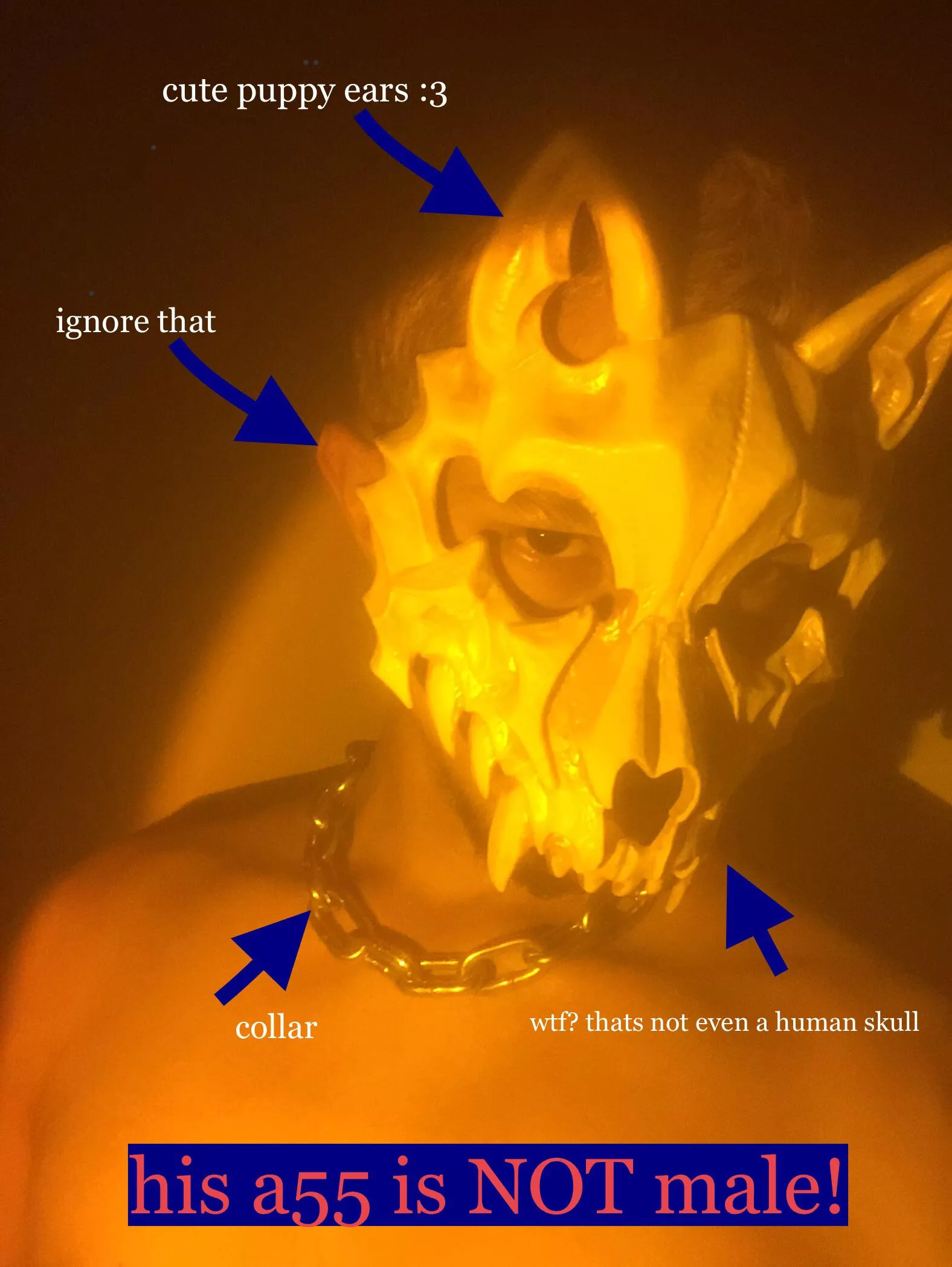 Not an actual leather mask. Does this serve? (sorry for the text, couldn't erase them)