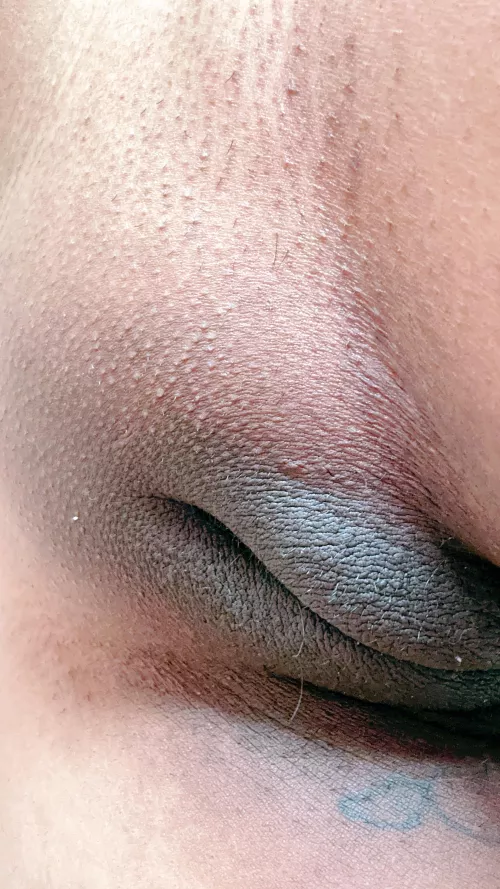 pretty enough to eat