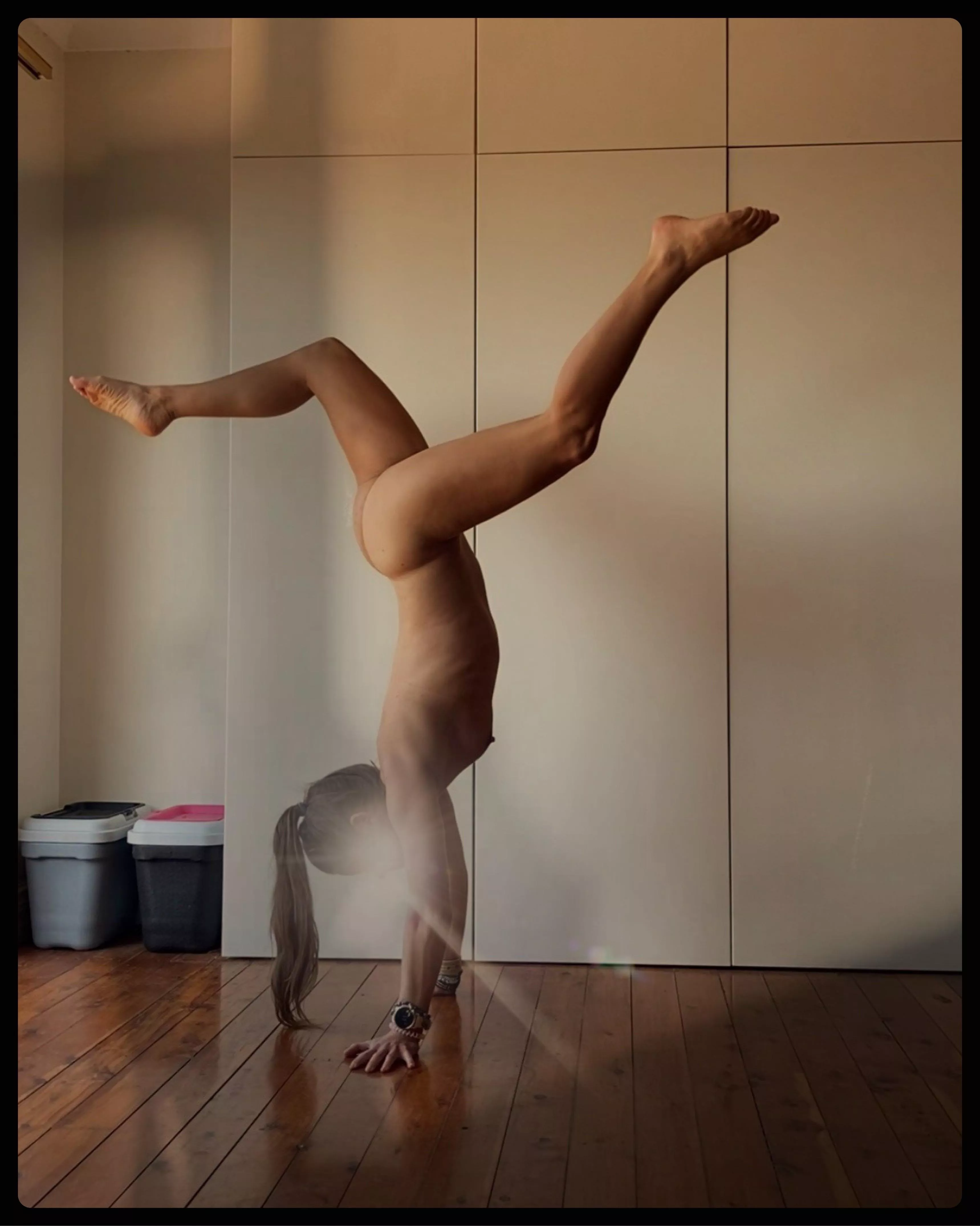 The dolphins had always believed that they were far more intelligent than man.