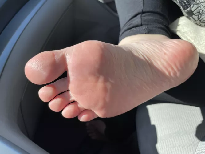 Would I be too distracting on our road trip?