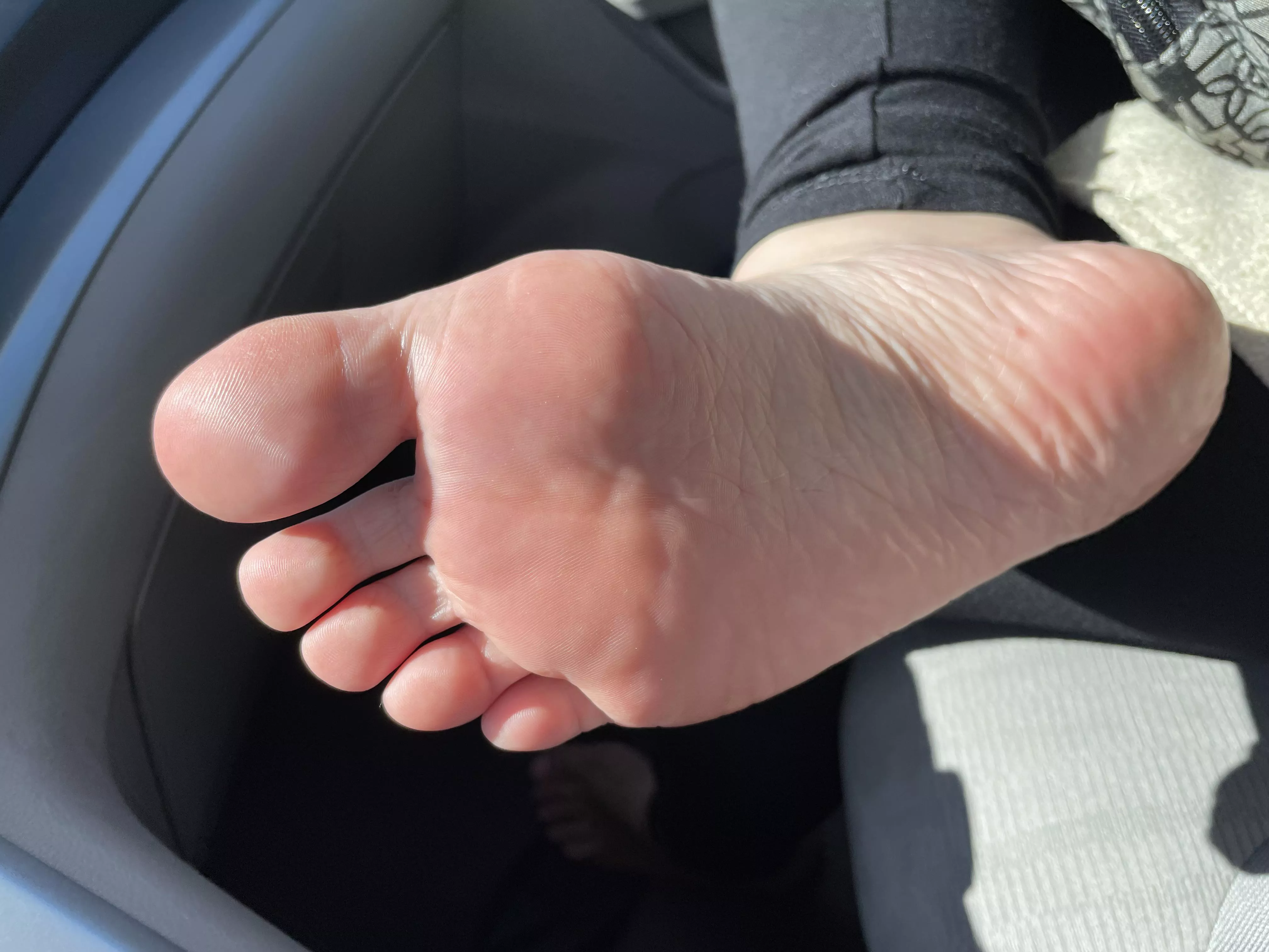 Would I be too distracting on our road trip?