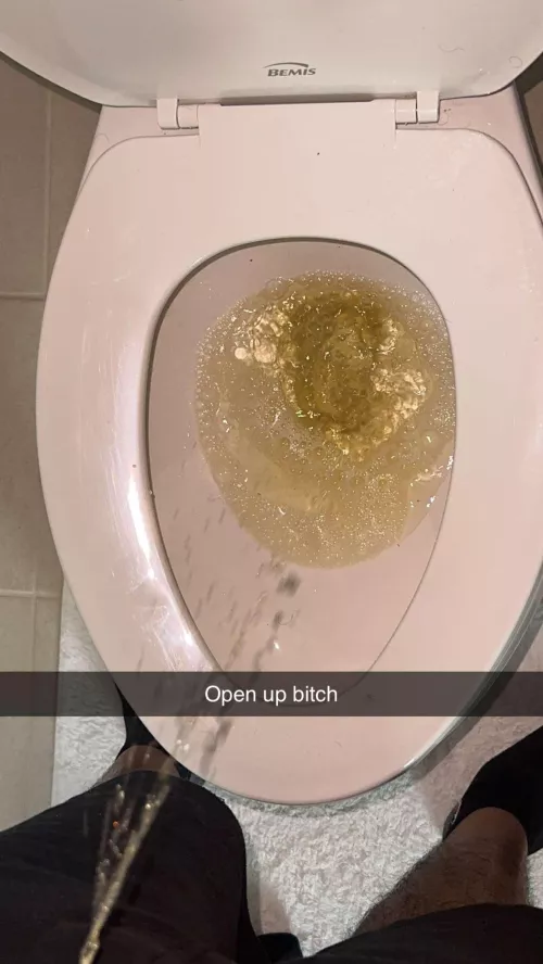 23 year old dominant chubby daddy looking for a very submissive slutty bottom who’s ready to be used and abused like the whore they were born to be. Look at my pics and vids and pm if interested.