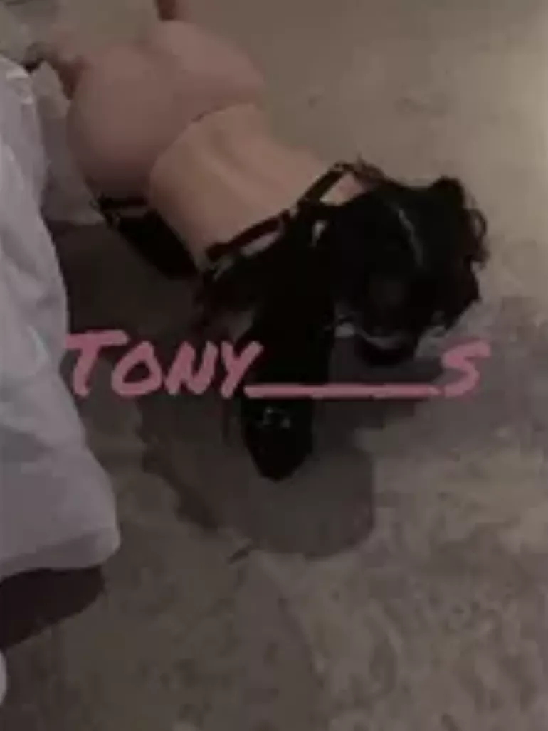 Anyone know where this is from?