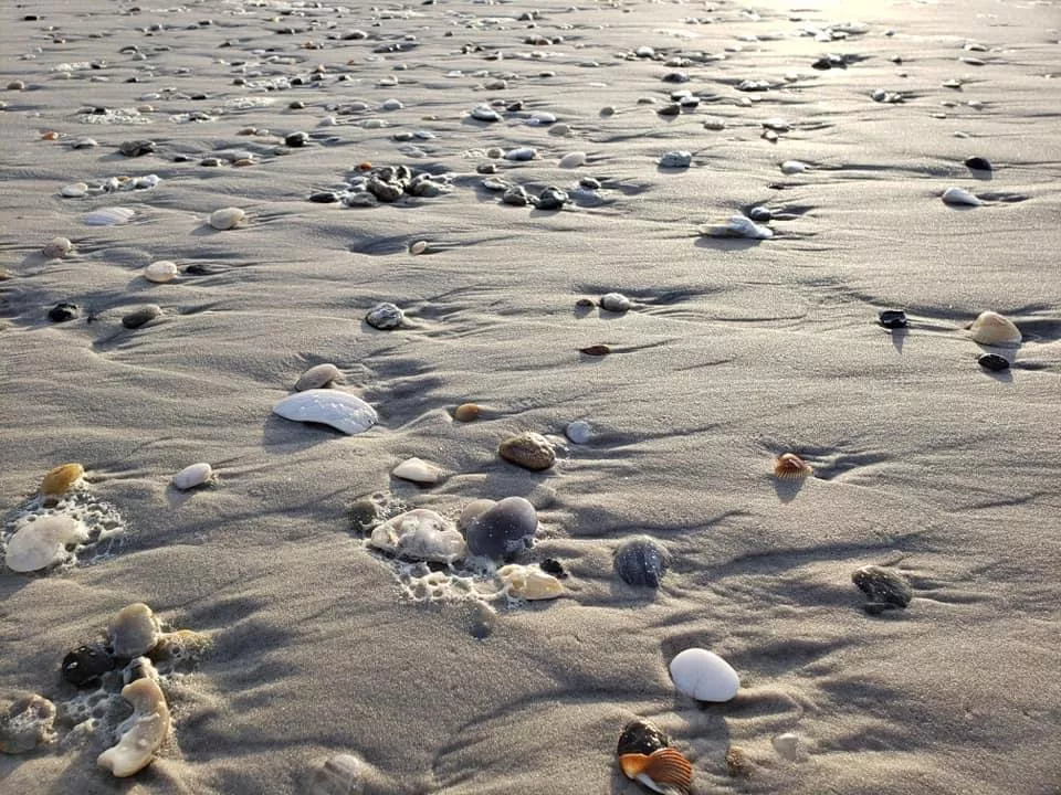 As the sun was rising! 