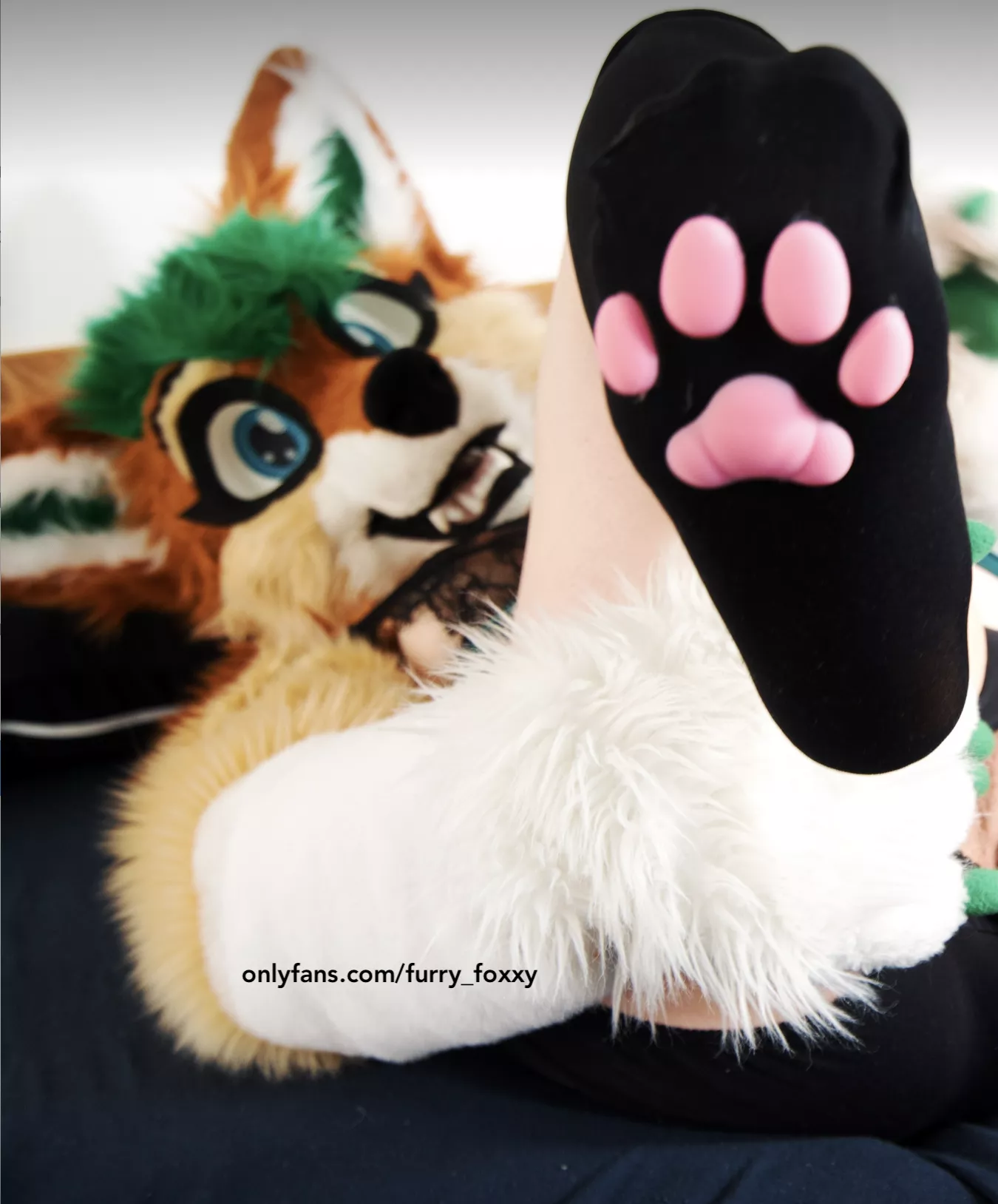🐾 Boobs or Paws - what´s your decision? Paw Lovers show yourself !🐾