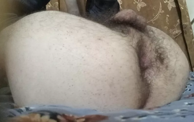 breed my hairy pale ass