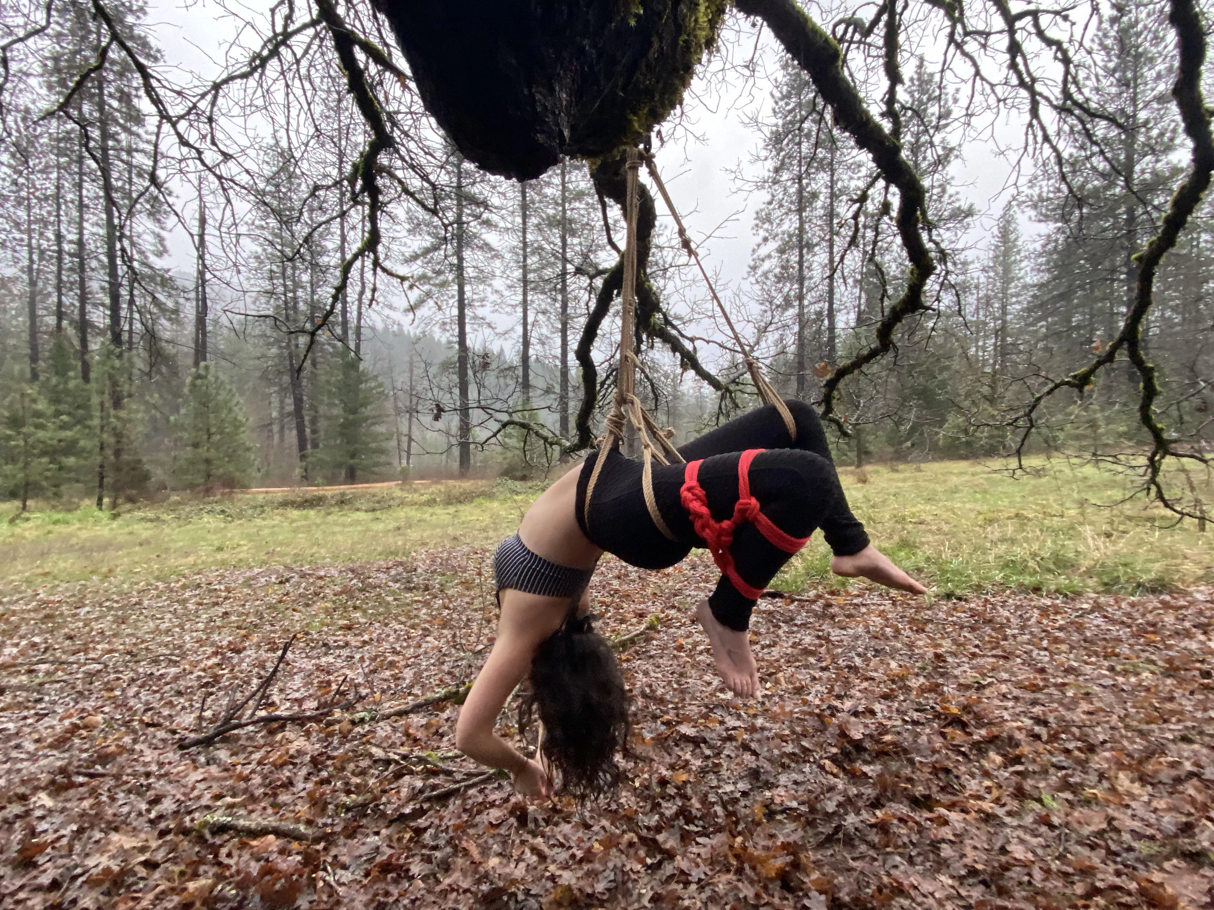 First time suspension 