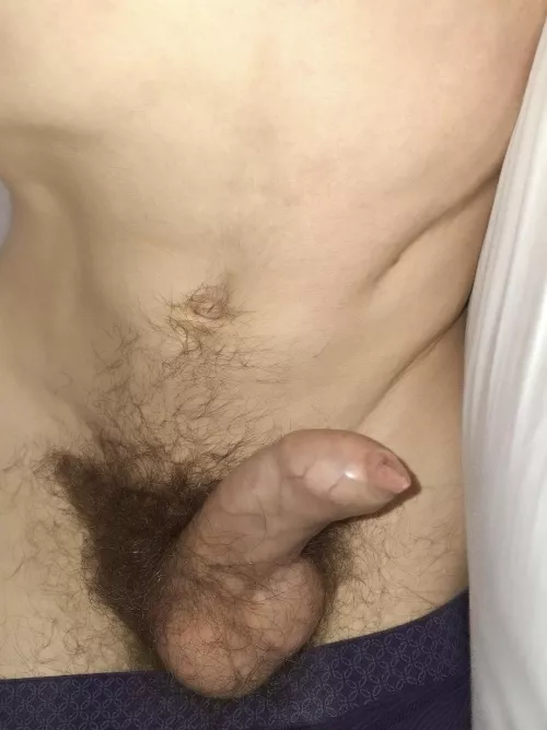 For the bush appreciation 