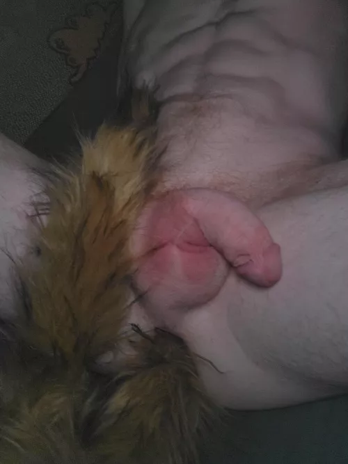 Ginger all the way through 🦊