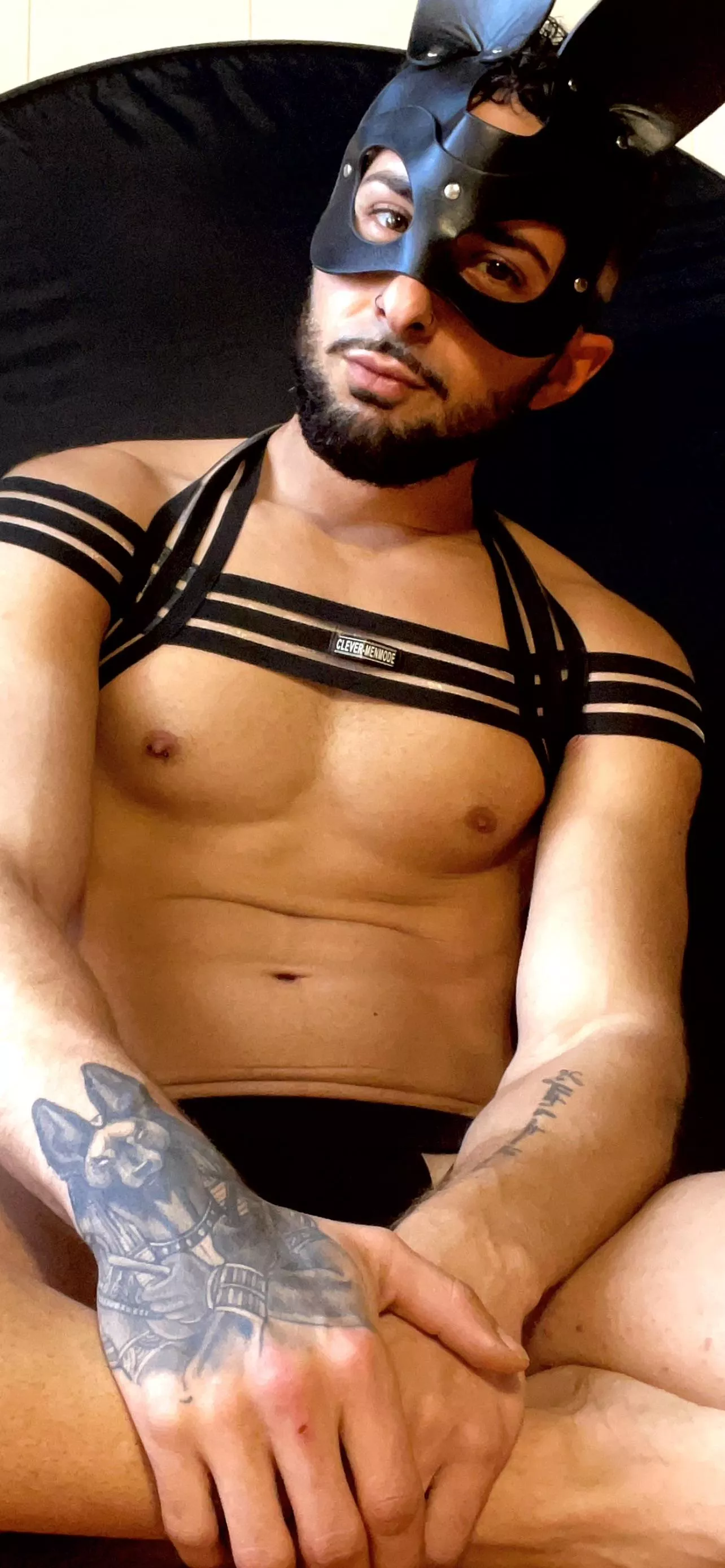 hello girls!  I am a fan of you, and I hope I don't bother you, I just wanted to share the desire with the bunny world.