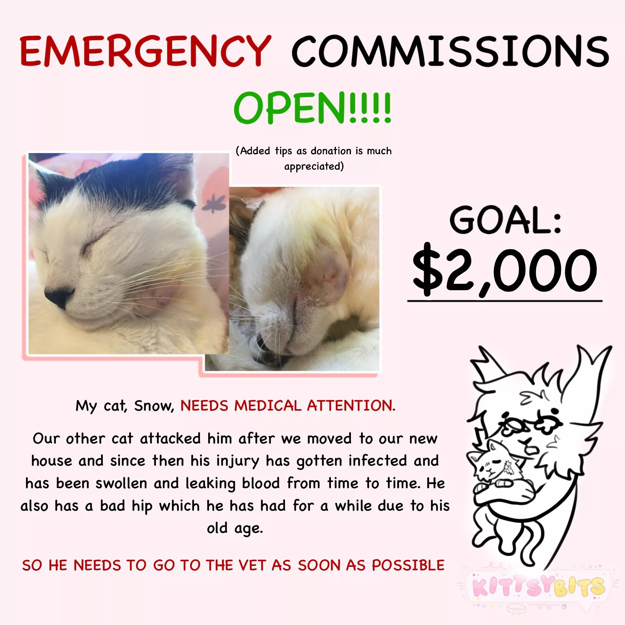 HELP MY CAT!! COMMISSIONS NOW OPEN TILL THE GOAL IS MET DM ME IF INTERESTED