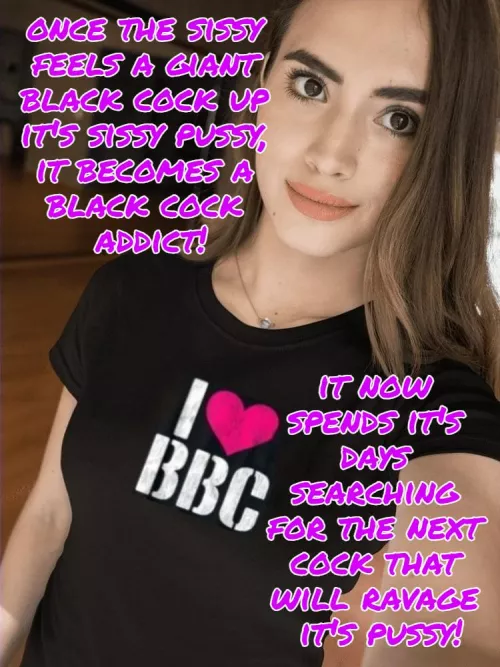 How many BBC addicts are here?