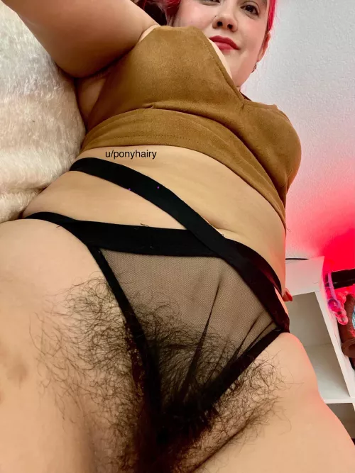 I can’t hide my bush