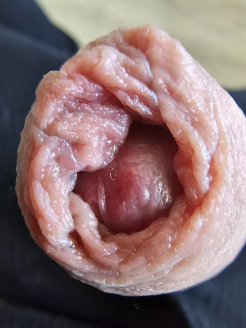 Macro of my foreskin🔍