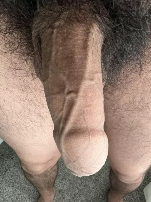 My pubes are begging for someone’s face deep in them 