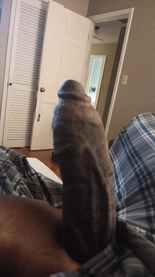 Needing a distraction from the PS5 ATM. Perhaps a big ass 😏