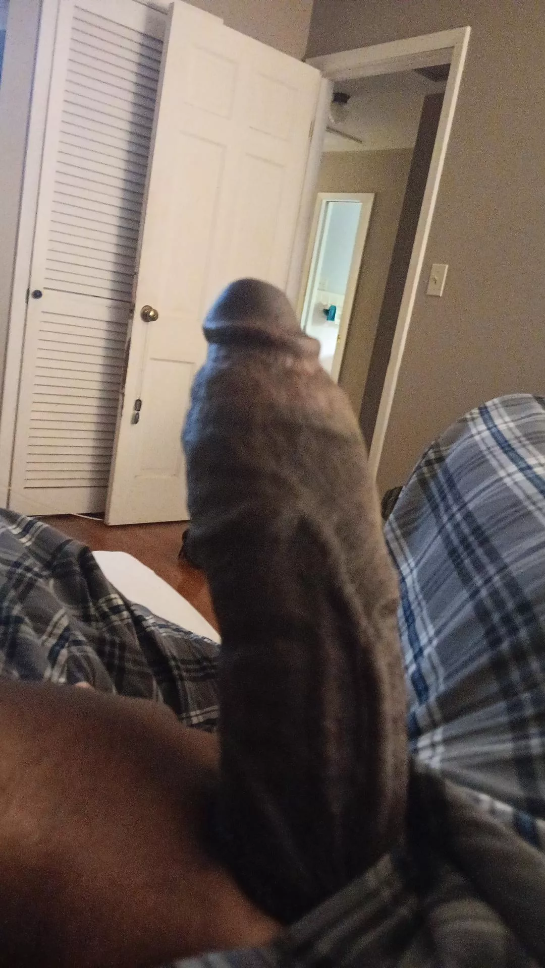 Needing a distraction from the PS5 ATM. Perhaps a big ass 😏