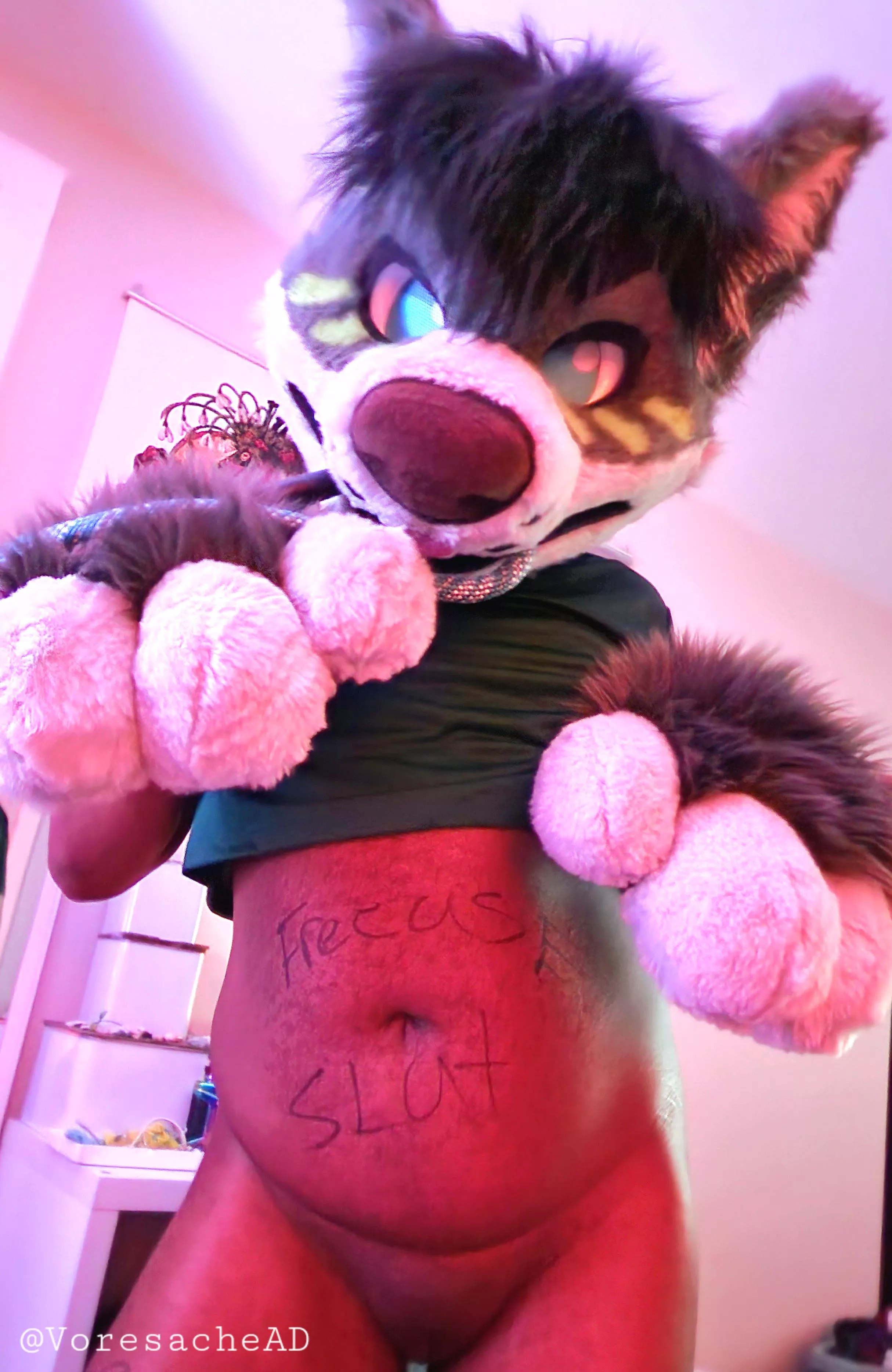 No thoughts, head empty (he/him)