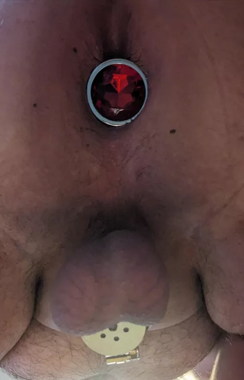 Nothing like being locked up and plugged up 🥵