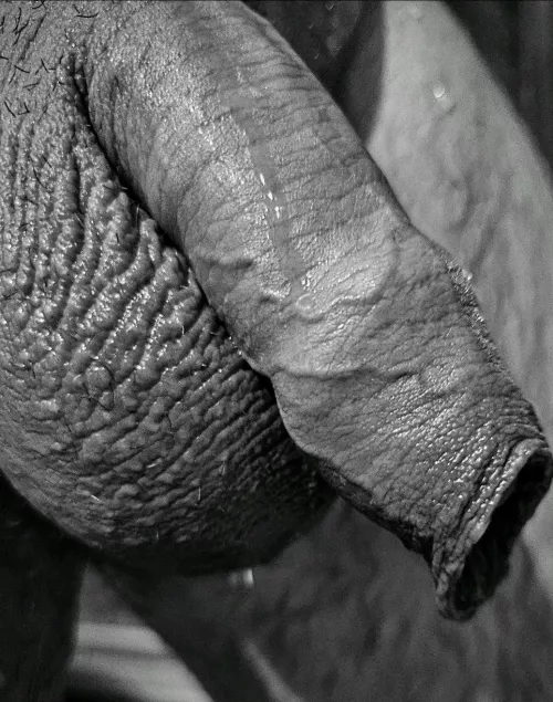 Playing with 50 shades of Grey...