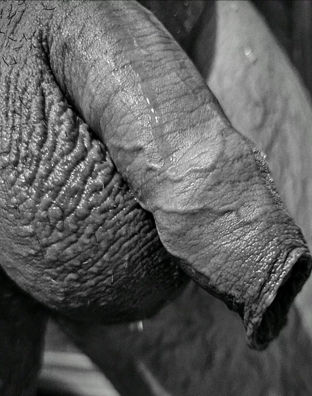 Playing with 50 shades of Grey...